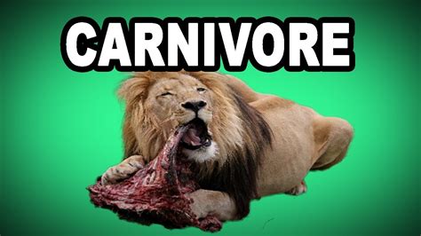वफादार is a hindi word which means loyal ,faithful ,fidelity , leal , devoted ,corporal , guileless and dutiful in english. Learn English Words: CARNIVORE - Meaning, Vocabulary with ...