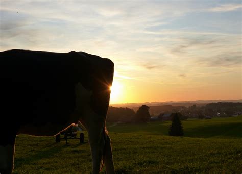 Das sind die gäste und das thema. Heute Abend Foto & Bild | sonnenuntergang, natur ...