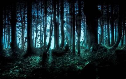 Dark Forest Nature Digital Landscape Desktop Backgrounds