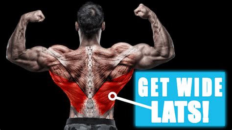 Bodybuilding Workouts Lats Exercises And Exercise Guides