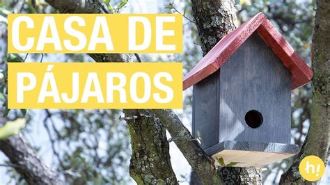 Cómo Hacer Una Casita Para Pájaros Refugio Para Pájaros Diy Youtube
