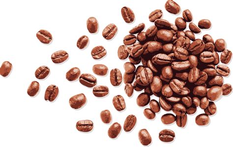 Coffee bean Espresso - Vector Hand-painted coffee beans png download