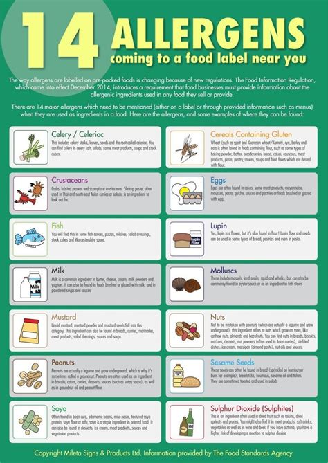These foods account for about 90% of all food allergies in the united states and must be declared on any processed food according to the usa food allergen labeling act (falcpa)1. A3 (420x297mm) The 14 Allergens Poster.: Amazon.co.uk ...