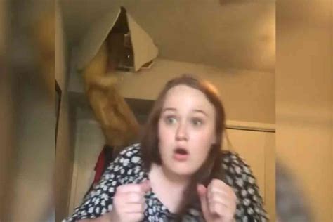 Mom Falls Through Ceiling While Teen Is Singing On Tiktok Not The Bee