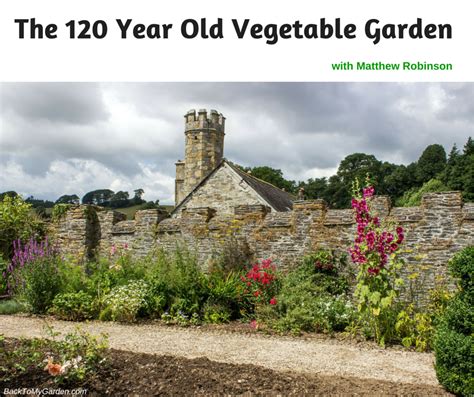 The 120 Year Old Vegetable Garden With Matthew Robinson Back To My Garden
