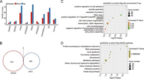 Identification And Functional Analysis Of Anxa Regulated Splicing