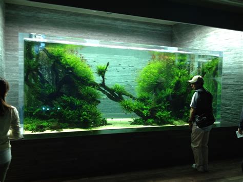 Takashi Amano × Sumida Aquarium