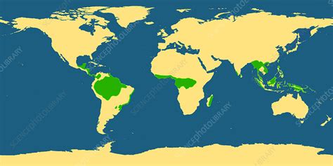 Map Showing Location Of Tropical Rainforests Rainforests Of The World