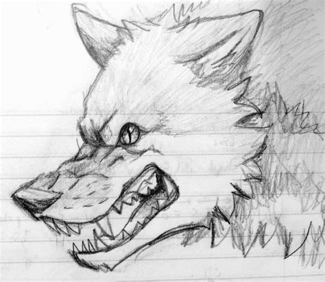 Angry Wolf Sketch By Minakowolf37 On Deviantart