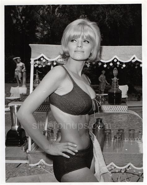 Orig 1966 CAROL WAYNE Busty Bikini DEBUT PIN UP Portrait THE MAN