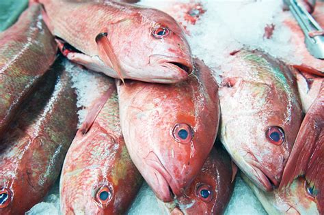 The Mystery Behind Toxic Seafood Fgcu 360