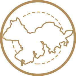 The website collected by this website comes from the. ﻿強陣出擊/朱婷任隊長 力爭衛冕金牌