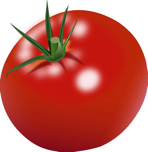 Download Tomato Clipart Png Black And White Download Tomato Clip Art
