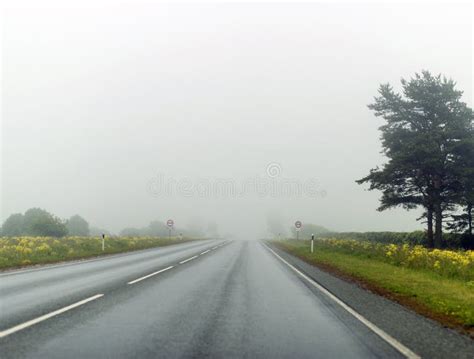 Empty Foggy Country Road Stock Image Image Of Country 56312515