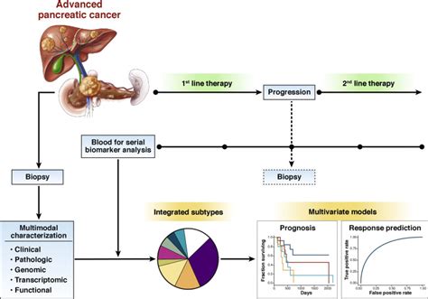 Refining Classification Of Pancreatic Cancer Subtypes To Improve