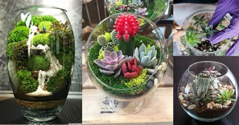 Si quieres usar este tipo de arreglos como. Cómo hacer un terrario | Como hacer terrarios, Terrarios y ...