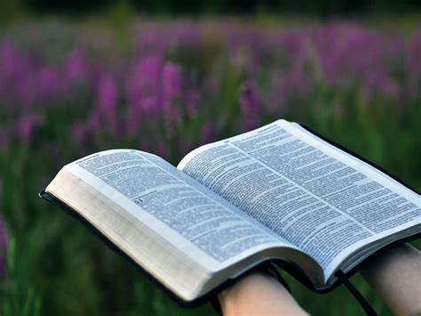 Dia Da Bíblia Será Celebrado Com 72 Horas De Leitura Ininterrupta Do