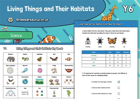 Year 6 Science Living Things And Their Habitats Assessment Pack