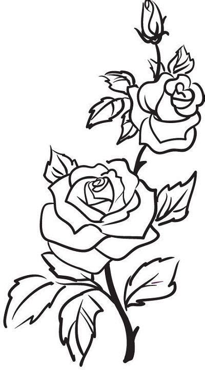 Gambar Bunga Mawar Sketsa