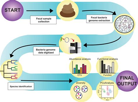 Gut Microbiome Sequencing