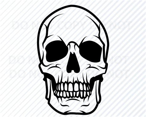 Skull SVG Human Skull Vector Images Silhouette Clip Art for - Etsy