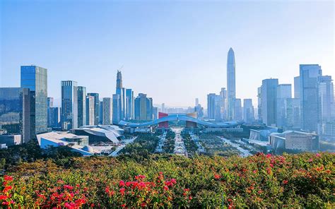 Shenzhen 40 Years Of Radical Growth Morning Star