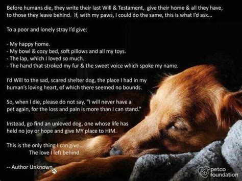 Dog Prayer A Dogs Prayer Last Will And Testament Will And Testament
