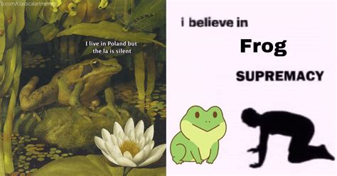 An Amphibious Bunch Of Frog And Toad Memes Memebase Funny Memes