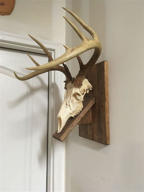 Deer Mount Decor Deer Mount Ideas Deer Skull Mount Deer Skull Art