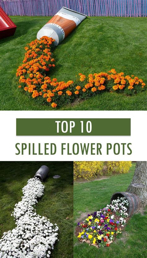 31 Best Spilled Flower Pot Ideas Images On Pinterest