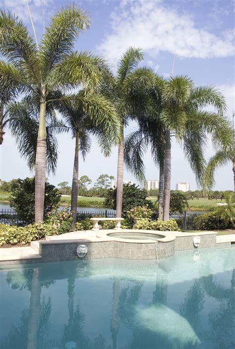 30 Spectacular Backyard Palm Tree Ideas Home Stratosphere Arquidia