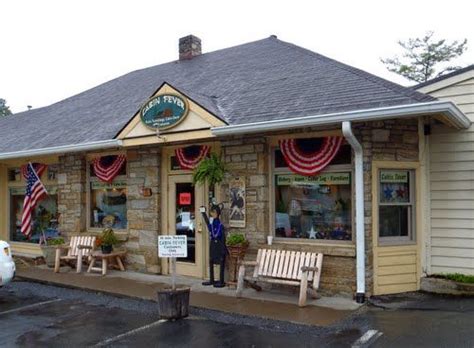 Maybe you would like to learn more about one of these? Cabin Fever | Rock shops, Cabin fever, Cabin