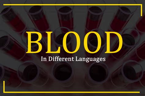 How To Say Blood In Different Languages Tdl