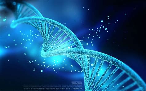 Comparer deux séquences ADN voici le procédé utilisé par les biologistes