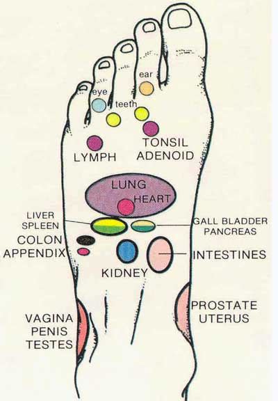 By using these pressure points by massaging or stimulation, you can help ease discomfort, associated with various pains. Hands Heeling Soles Reflexology - REFLEXOLOGY