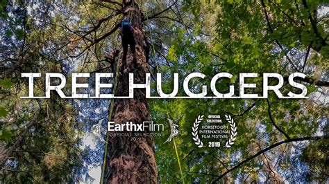 Tree Huggers 360 Tree Climbing Experience Youtube