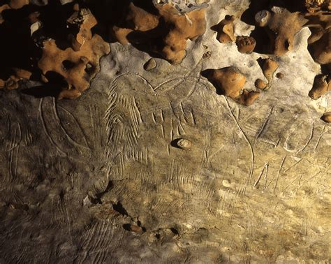 The Palaeolithic Art Of Europe Palaeoart In The Most Literal Sense