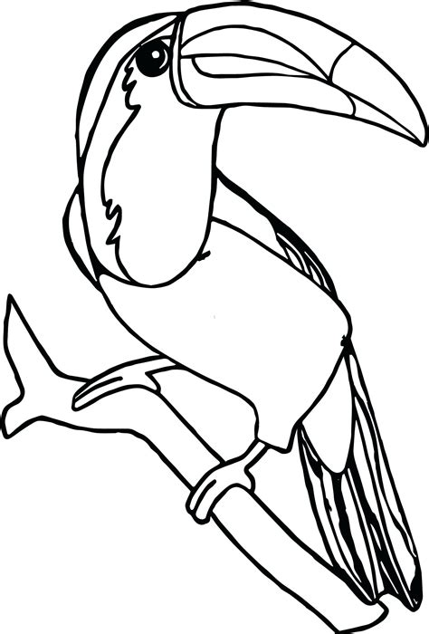 Toucan coloring pages to print toucan bird coloring pages. Toucan Coloring Pages - Best Coloring Pages For Kids