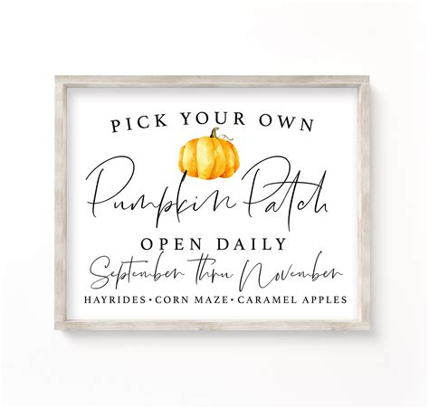 A Sign That Says Pick Your Own Pumpkin Patch Open Daily And Sits In
