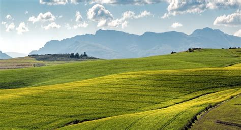 SA's festering land dispossession boil needs a proper lancing - BizNews.com