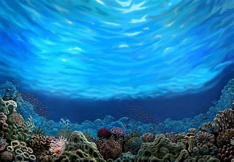 Underwater Paradise Stunning Interior Murals