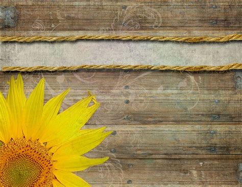 abstract yellow sunflower background vector ilration