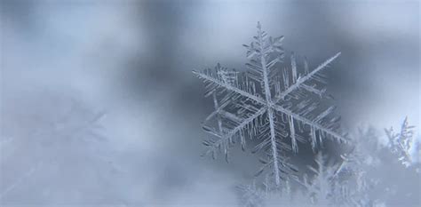 How Do Snowflakes Form Is Each Snowflake Really Unique Why Is Some