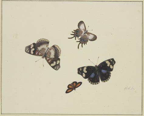 Four Butterflies Herman Henstenburgh En Reproducci N Impresa O Copia