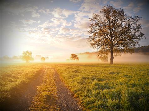 Weg provides global solutions for electric motors, variable frequency drives, soft starters, controls, panels, transformers, and generators. der Weg zum Licht Foto & Bild | landschaft, sonnenaufgänge ...