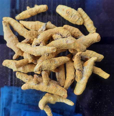 Salem Turmeric Finger For Food Curcuma Longa At Rs Kg In Erode