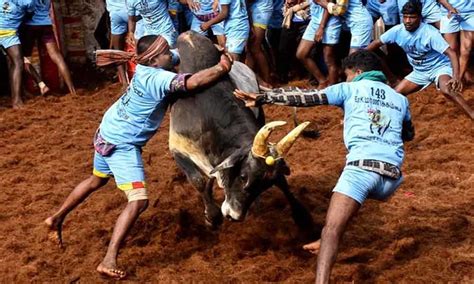 In this elcosez, 20.89 acres of land were allotted on lease basis to hcl info systems ltd. Tamil Nadu: 32 injured in 'Jallikattu' event in Madurai