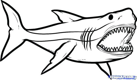 Great Hammerhead Shark Drawing Free Download On Clipartmag