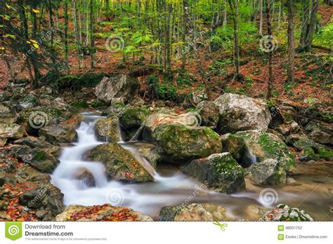 Autumn Creek Woods With Yellow Trees Foliage And Rocks In Forest Stock