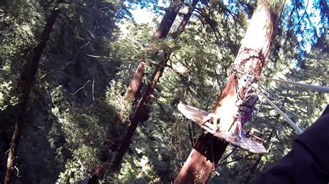 Hermon is the highest and the most unique mountain in the country. Ziplining at Mt. Hermon Redwood Canopy Tours (Zip #1 ...